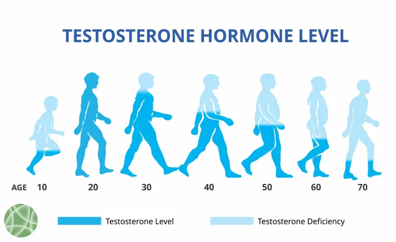 Hormone levels and ageing